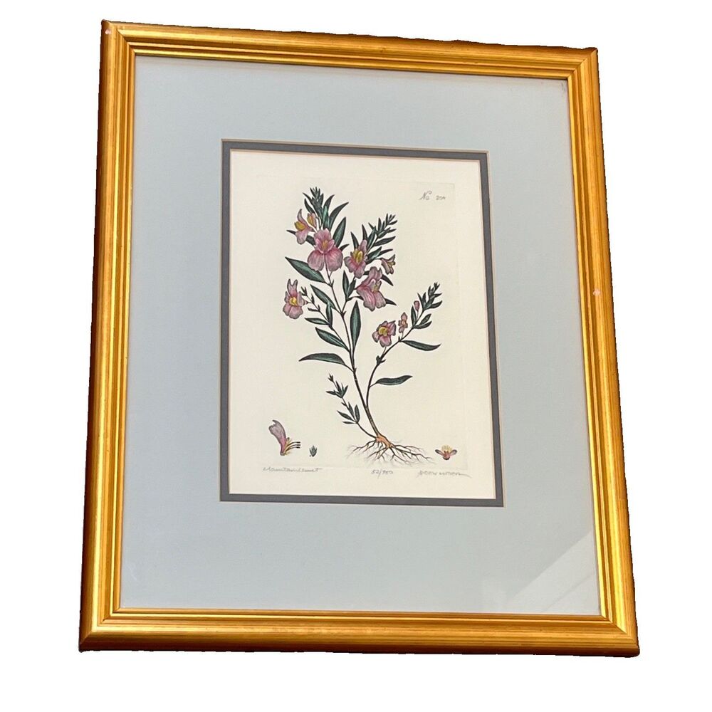 Dan Mitra Mountain Locust-Colored Etching Limited Edition Signed Framed Artwork
